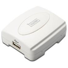 Digitus 1 Port Fast Ethernet Print Server, 1 X Usb(Oem Prıntsrv Dn-13003) - 1