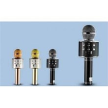 Platoon Pl-2455 Bluetooth Karaoke Mikrofon Sd-Usb(Spk Platoon Pl-2455) - 1