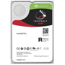 Seagate Ironwolf Pro 3.5 6Tb 7200Rpm 256Mb Sata 3 St6000Ne000 Harddisk(Oem Hdd 6Tb St6000Ne000) - 1