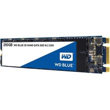 Wd 250Gb Blue M.2 Sata 550 Mbps - 525 Mbps Wds250G2B0B Harddisk(Oem Hdd Ssd Wds250G2B0B) - 1