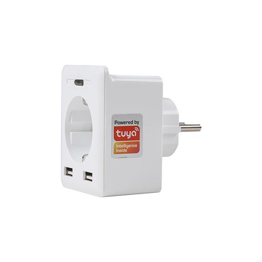 S-Link Swapp Sl-04 10A Akım Korumalı Akıllı Priz 2 Usb 2.4 Ghz Wifi Tuya Destekli(Kablo P S-Lınk Sl-04)