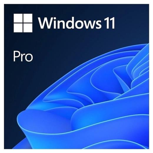 Microsoft Windows 11 Professional 64Bit Türkçe Oem [Fqc-10556] -Distribütör-