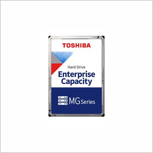 Toshiba 10Tb Enterprise 3.5